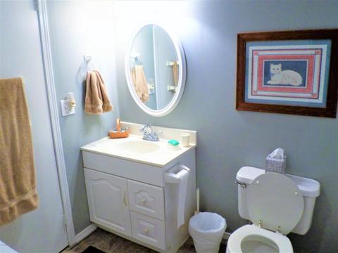 22421 Maple Row St, Cassopolis, MI 49031 photo 20
