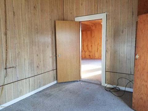 519 E Gilson St, Edmore, MI 48829 photo 11