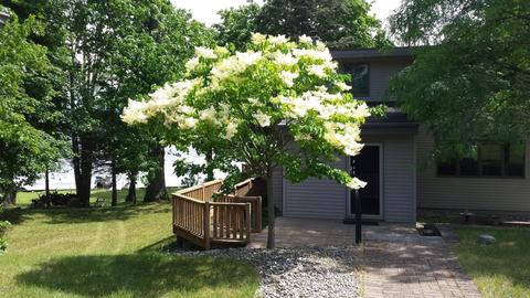 2737 W Bricker Rd, Belding, MI 48809 photo 5