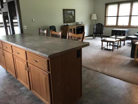 2737 W Bricker Rd, Belding, MI 48809 photo 23