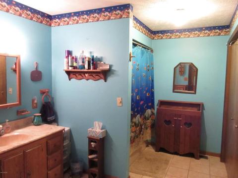 4572 W Sidney Rd, Sidney, MI 48885 photo 22