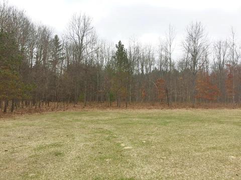 4672 N Alger Ave, White Cloud, MI 49349 photo 18