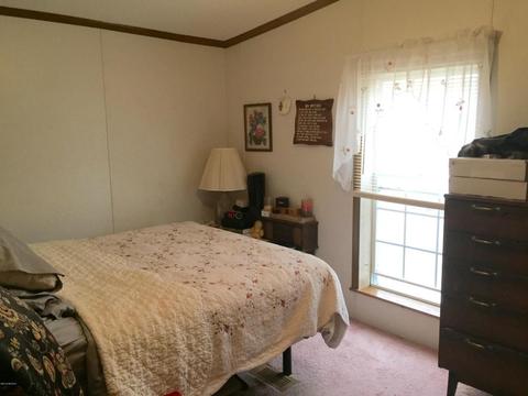 4672 N Alger Ave, White Cloud, MI 49349 photo 10