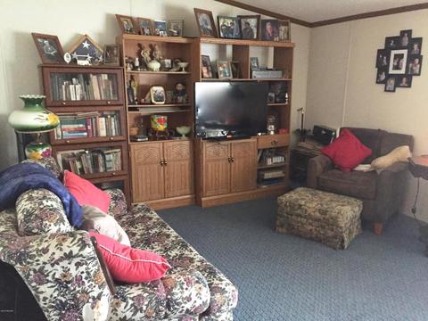 4672 N Alger Ave, White Cloud, MI 49349 photo 9
