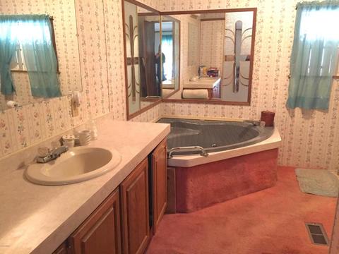 4672 N Alger Ave, White Cloud, MI 49349 photo 16
