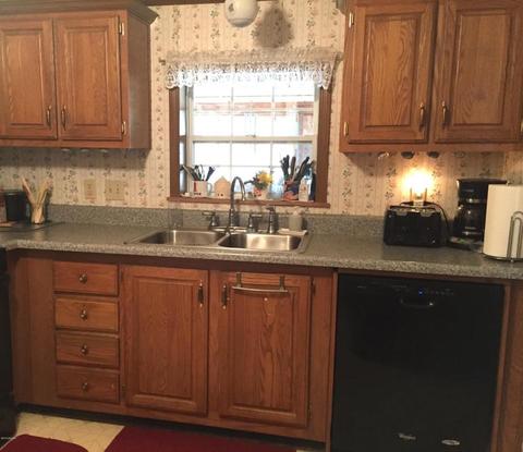 4672 N Alger Ave, White Cloud, MI 49349 photo 6