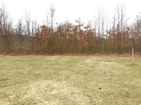 4672 N Alger Ave, White Cloud, MI 49349 photo 17