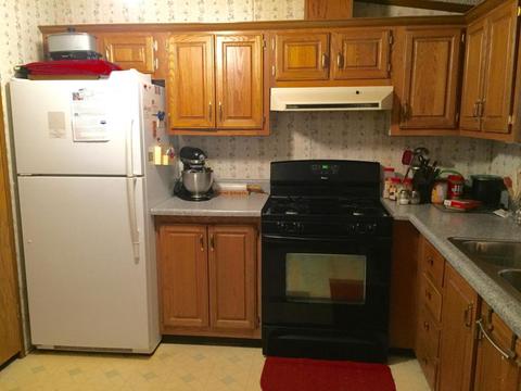 4672 N Alger Ave, White Cloud, MI 49349 photo 5