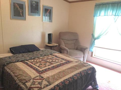 4672 N Alger Ave, White Cloud, MI 49349 photo 14