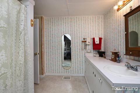 314 Lewis St, Belding, MI 48809 photo 10