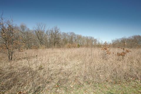 22154 B Dr S, Marshall, MI 49068 photo 30