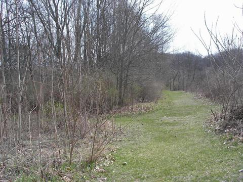 63211 Beers Rd, Constantine, MI 49042 photo 30