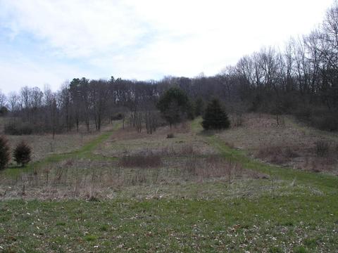 63211 Beers Rd, Constantine, MI 49042 photo 27