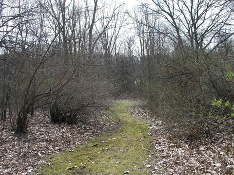 63211 Beers Rd, Constantine, MI 49042 photo 26