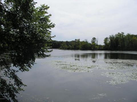 67110 Oxbow Dr, Constantine, MI 49042 photo 2