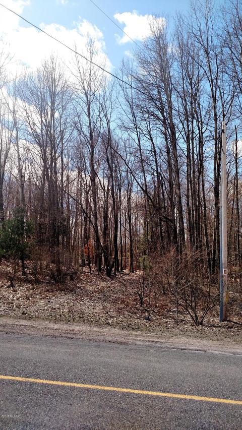 7663 E Millerton Rd, Branch, MI 49402 photo 10