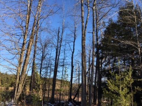 7663 E Millerton Rd, Branch, MI 49402 photo 6