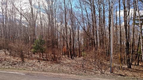 7663 E Millerton Rd, Branch, MI 49402 photo 9