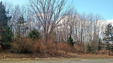 7663 E Millerton Rd, Branch, MI 49402 photo 8