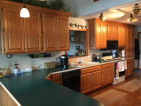247 Peterman Dr, Crystal, MI 48818 photo 4