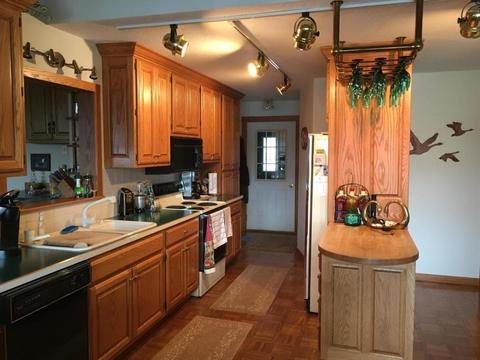 247 Peterman Dr, Crystal, MI 48818 photo 5