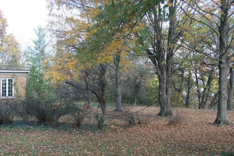 23651 Wakeman Rd, Mendon, MI 49072 photo 44