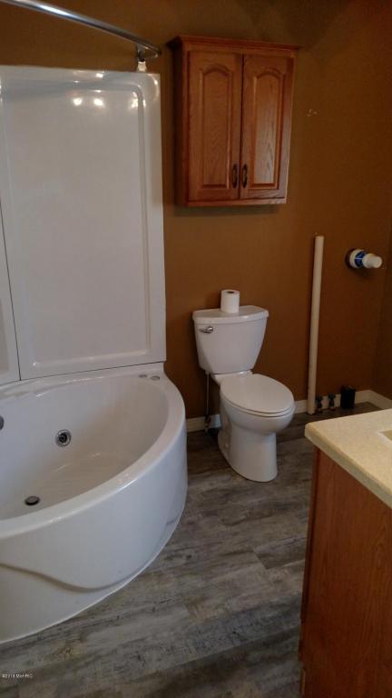 621 Alderman St, Belding, MI 48809 photo 19