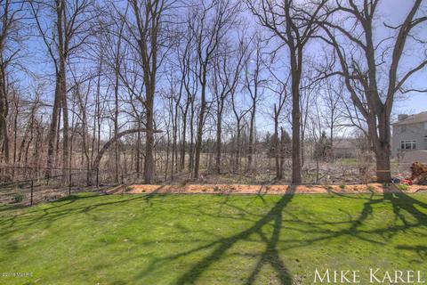 8206 Briar Ln, Jenison, MI 49428 photo 4