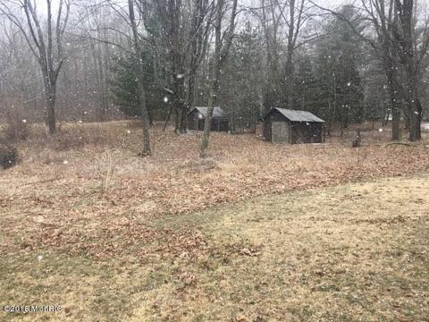 608 E Colby Rd, Stanton, MI 48888 photo 27