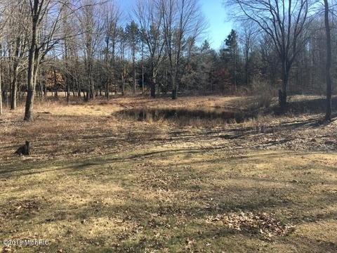 608 E Colby Rd, Stanton, MI 48888 photo 8