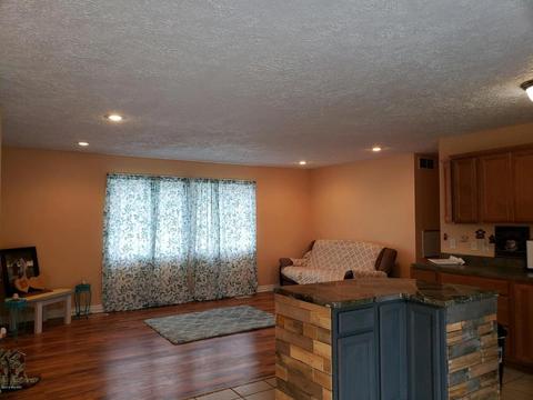 307 E Herbison Dr, Dewitt, MI 48820 photo 11