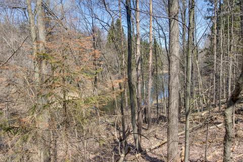 9293 28th St SE, Ada, MI 49301 photo 43