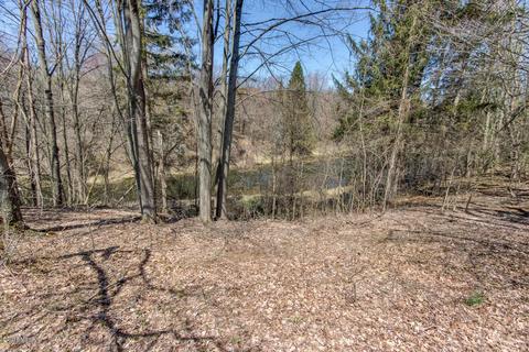 9293 28th St SE, Ada, MI 49301 photo 39