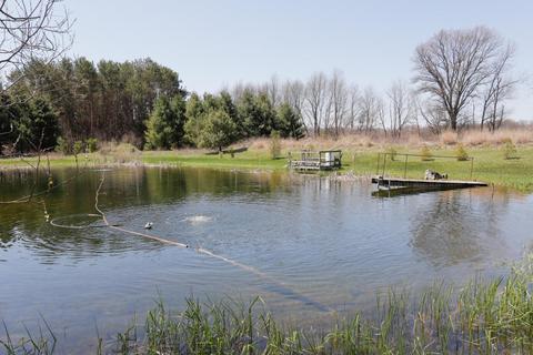 10770 E S Ave, Scotts, MI 49088 photo 33