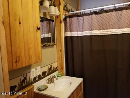 4103 E 40th St, Chase, MI 49623 photo 3
