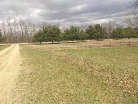 11075 S River Rd, Evart, MI 49631 photo 2