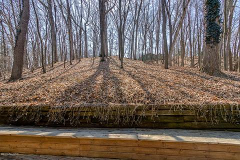 492 Adaway Ave SE, Ada, MI 49301 photo 30