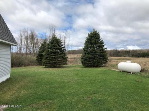 8145 20th Ave, Remus, MI 49340 photo 8