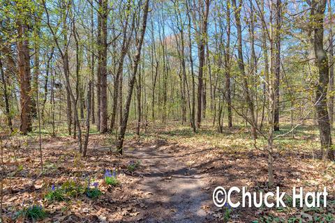 4152 Janet Dr, Dorr, MI 49323 photo 34