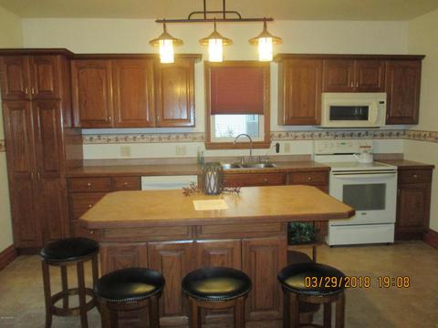 218 E Corey St, Bronson, MI 49028 photo 5
