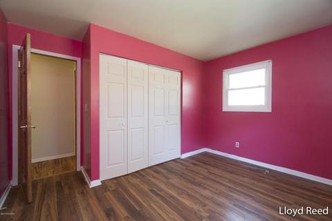 1135 Luther Ave, Belding, MI 48809 photo 17