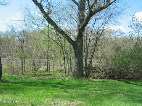8634 Struble Rd, Jerome, MI 49249 photo 29