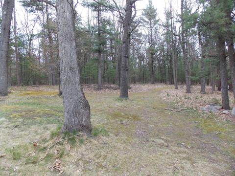 3145 Maple Rd, Manistee, MI 49660 photo 57