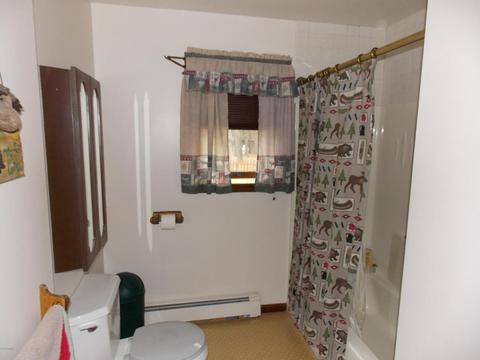 3145 Maple Rd, Manistee, MI 49660 photo 18