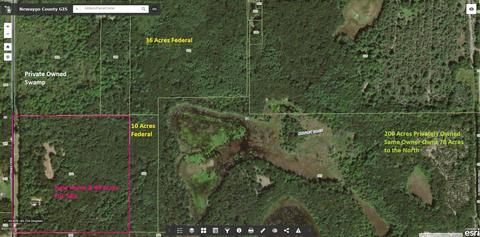 4372 S Spruce Ave, White Cloud, MI 49349 photo 50