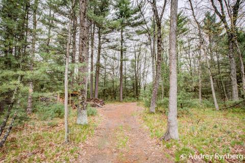 4372 S Spruce Ave, White Cloud, MI 49349 photo 41