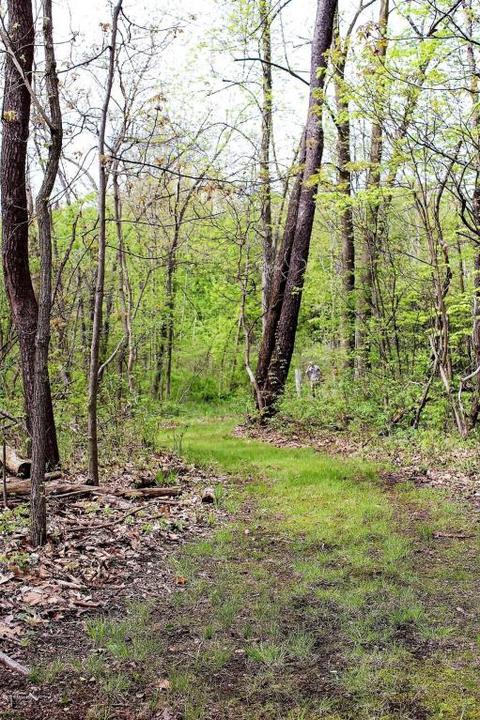 1903 E B Ave, Plainwell, MI 49080 photo 25