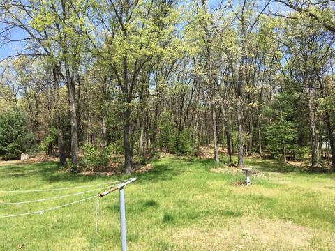 2373 E 95th St, Newaygo, MI 49337 photo 5