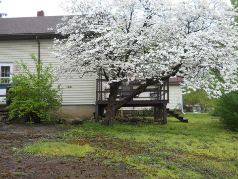 340 E Congress St, Belding, MI 48809 photo 12
