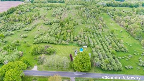 10594 Button, Belding, MI 48809 photo 48